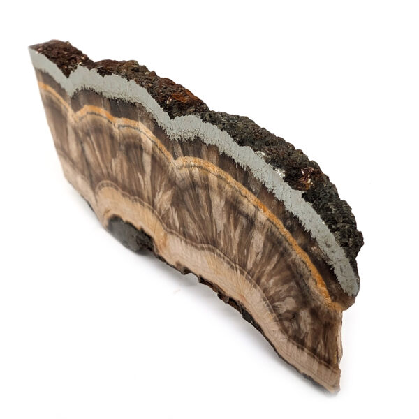 Barite and Marcasite Slab - Image 2