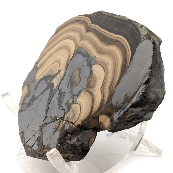 Schalenblende Slab - Image 2