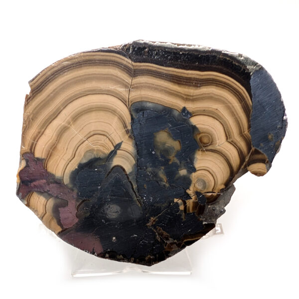 Schalenblende Slab