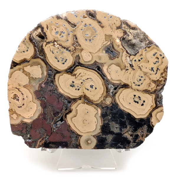 Schalenblende Slab