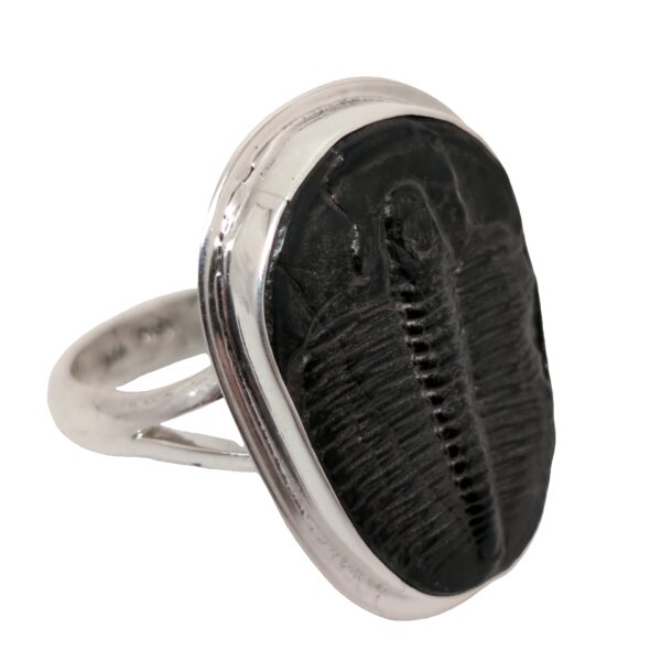 Trilobite Fossil Sterling Silver Ring; size 12