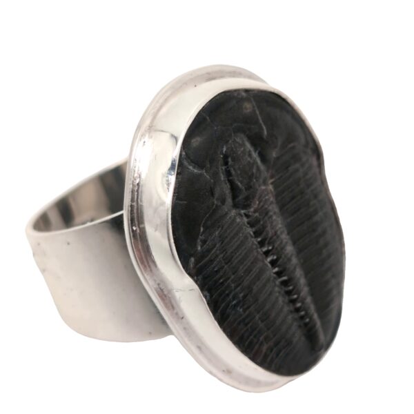 Trilobite Fossil Sterling Silver Ring; size 8 3/4