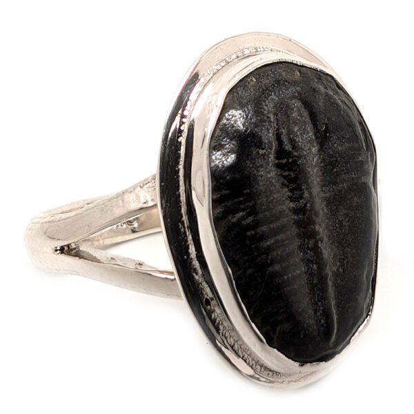 Trilobite Fossil Sterling Silver Ring; size 11
