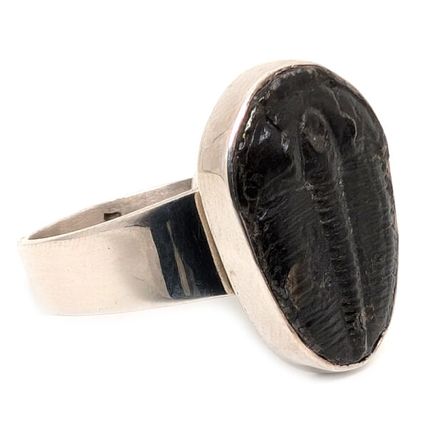 Trilobite Fossil Sterling Silver Ring; size 13 3/4