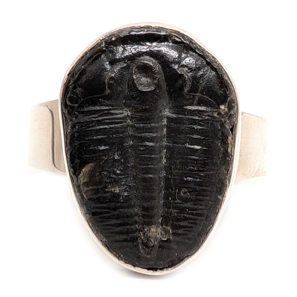 Trilobite Fossil Sterling Silver Ring; size 13 3/4 - Image 2