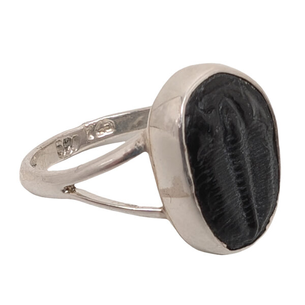 Trilobite Fossil Sterling Silver Ring; size 6 1/4 - Image 2
