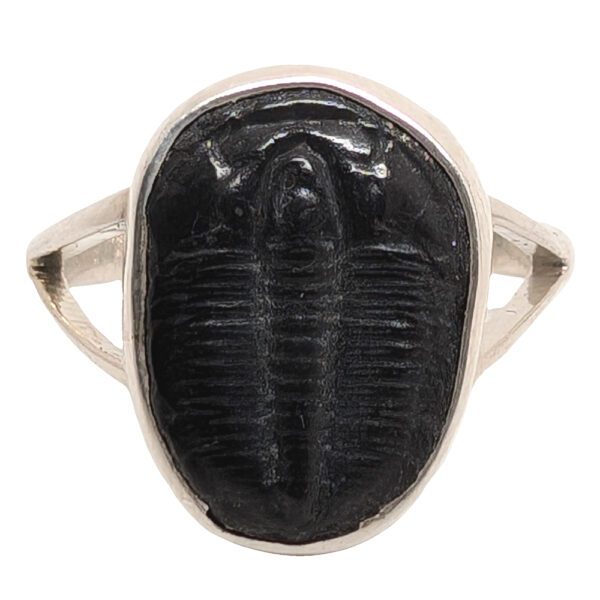 Trilobite Fossil Sterling Silver Ring; size 6 1/4