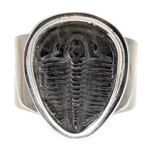 Trilobite Fossil Sterling Silver Ring; size 7 1/4 - Image 2