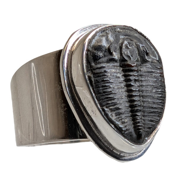 Trilobite Fossil Sterling Silver Ring; size 7 1/4