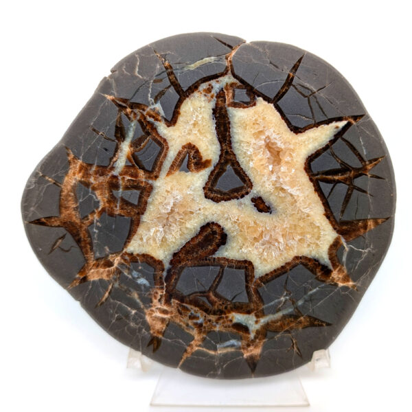 Septarian Calcite Slab