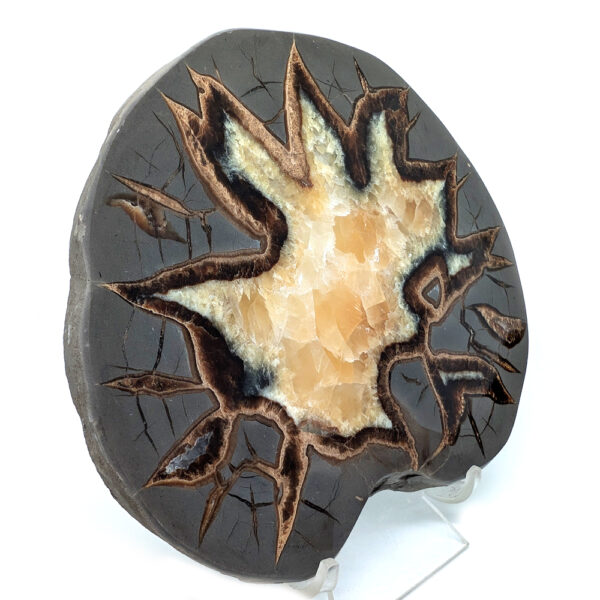 Septarian Calcite Slab - Image 2