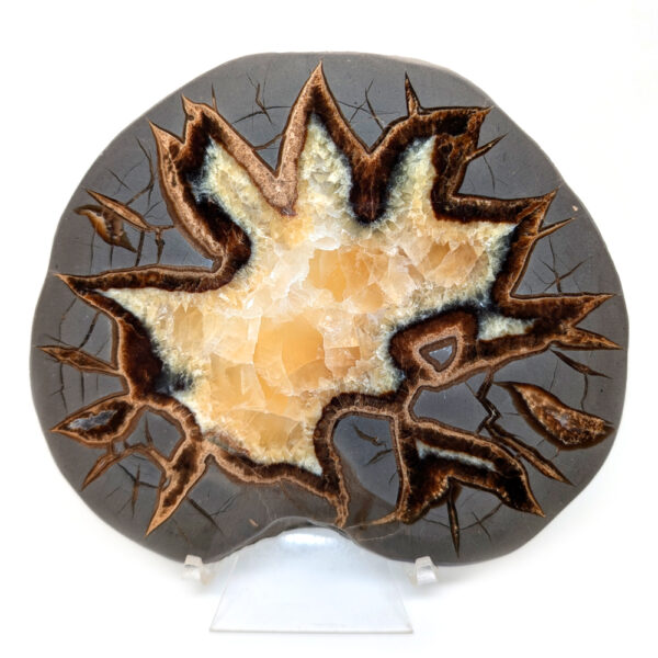 Septarian Calcite Slab