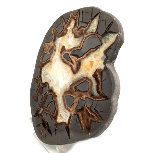 Septarian Calcite Slab - Image 2