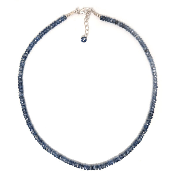 Kyanite Faceted Bead Necklace