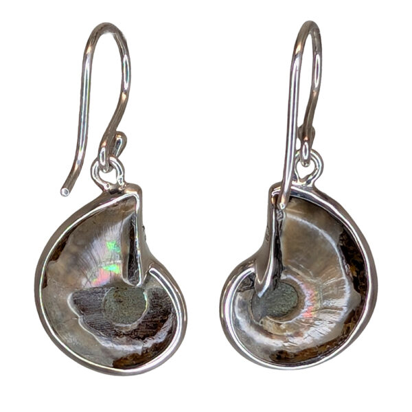 Ammonite Fossil Sterling Silver Earrings with Opal Inlay - Image 3