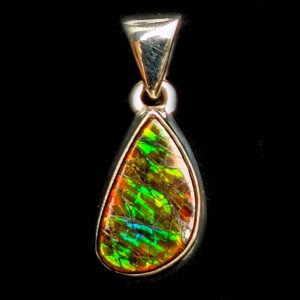 Ammolite Fossil Sterling Silver Pendant