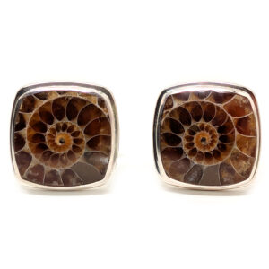 Ammonite Fossil Sterling Silver Cufflinks Ammonite Fossil Sterling Silver Cufflinks