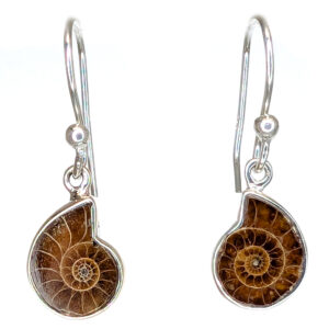 Ammonite Fossil Sterling Silver Earrings Ammonite Fossil Sterling Silver Earrings