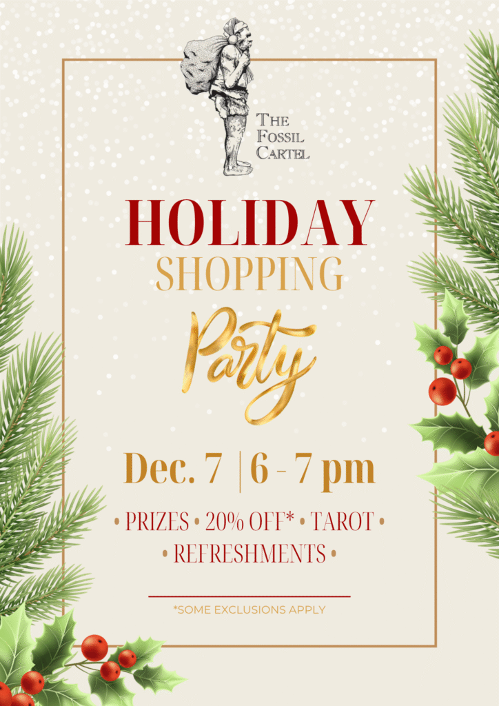 Holiday Shopping Party Poster