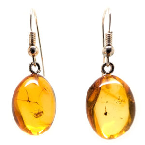 Amber with Insect Sterling Silver Earrings Amber with Insect Sterling Silver Earrings