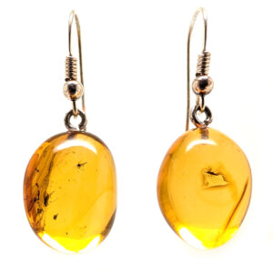 Amber with Insect Sterling Silver Earrings Amber with Insect Sterling Silver Earrings