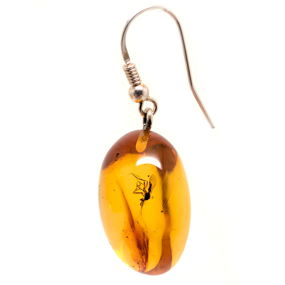 Amber with Insect Sterling Silver Earrings Amber with Insect Sterling Silver Earrings - Image 2