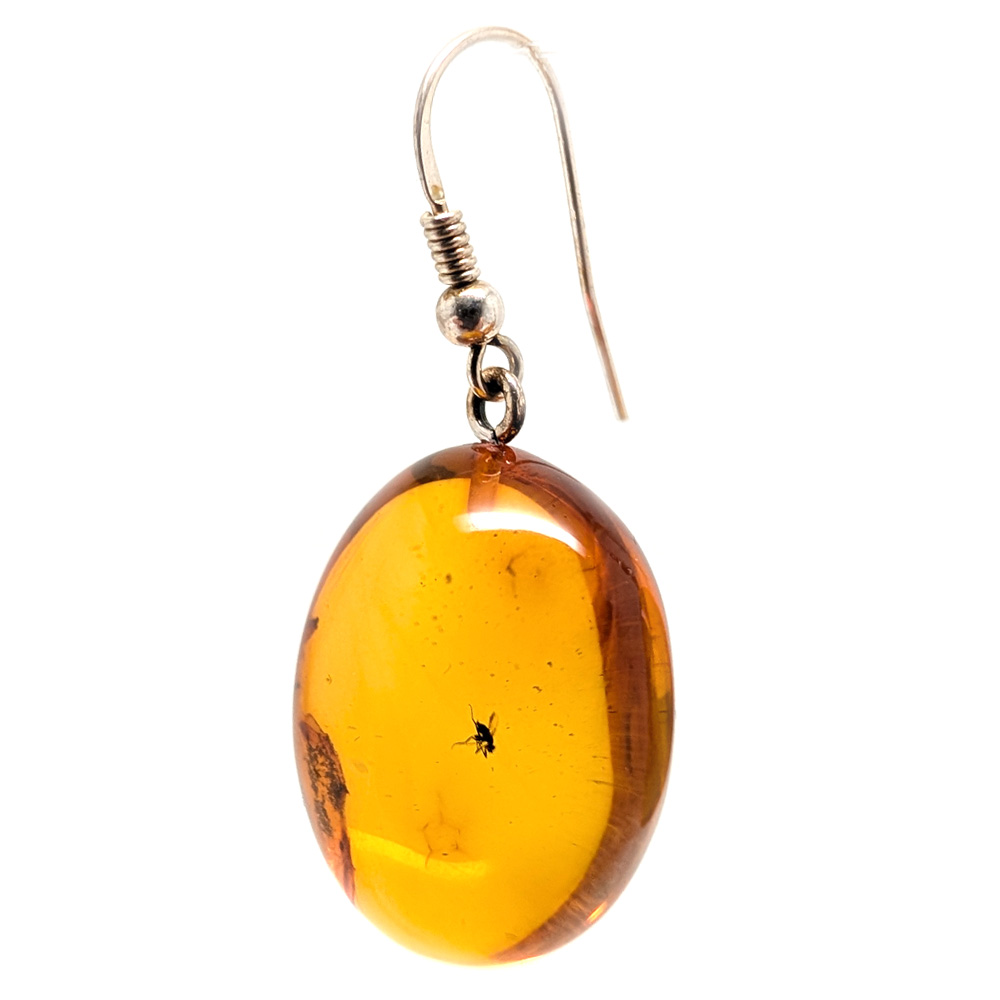 Amber with Insect Sterling Silver Earrings Amber with Insect Sterling Silver Earrings - Image 3