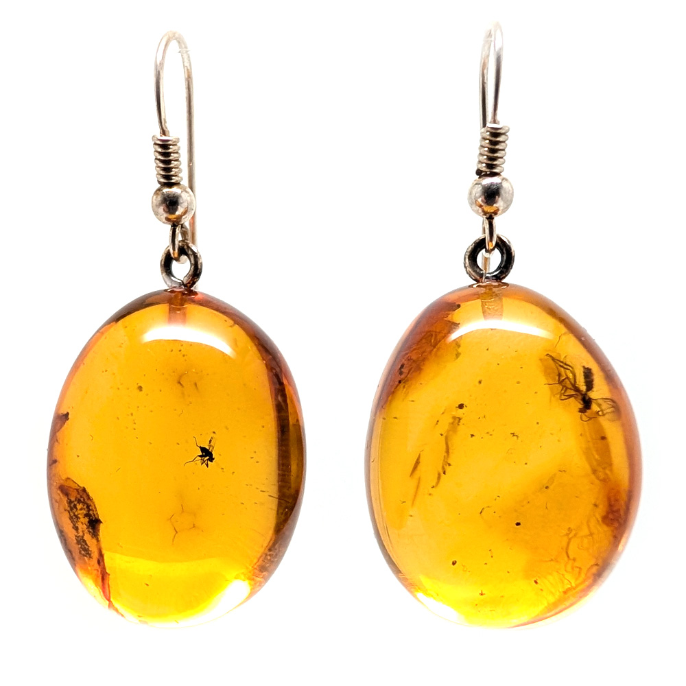 Amber with Insect Sterling Silver Earrings Amber with Insect Sterling Silver Earrings