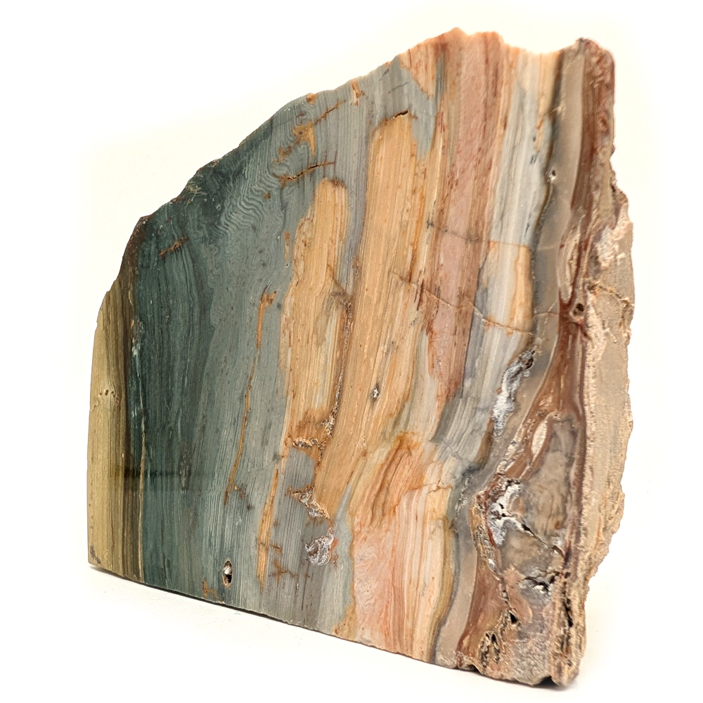 Gary Green Bog Fossil Stand-Up Gary Green Bog Fossil Stand-Up - Image 2