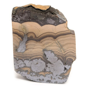 Schalenblende Slab Schalenblende Slab