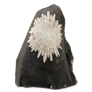 Chrysanthemum Stone