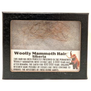 Woolly Mammoth Hair