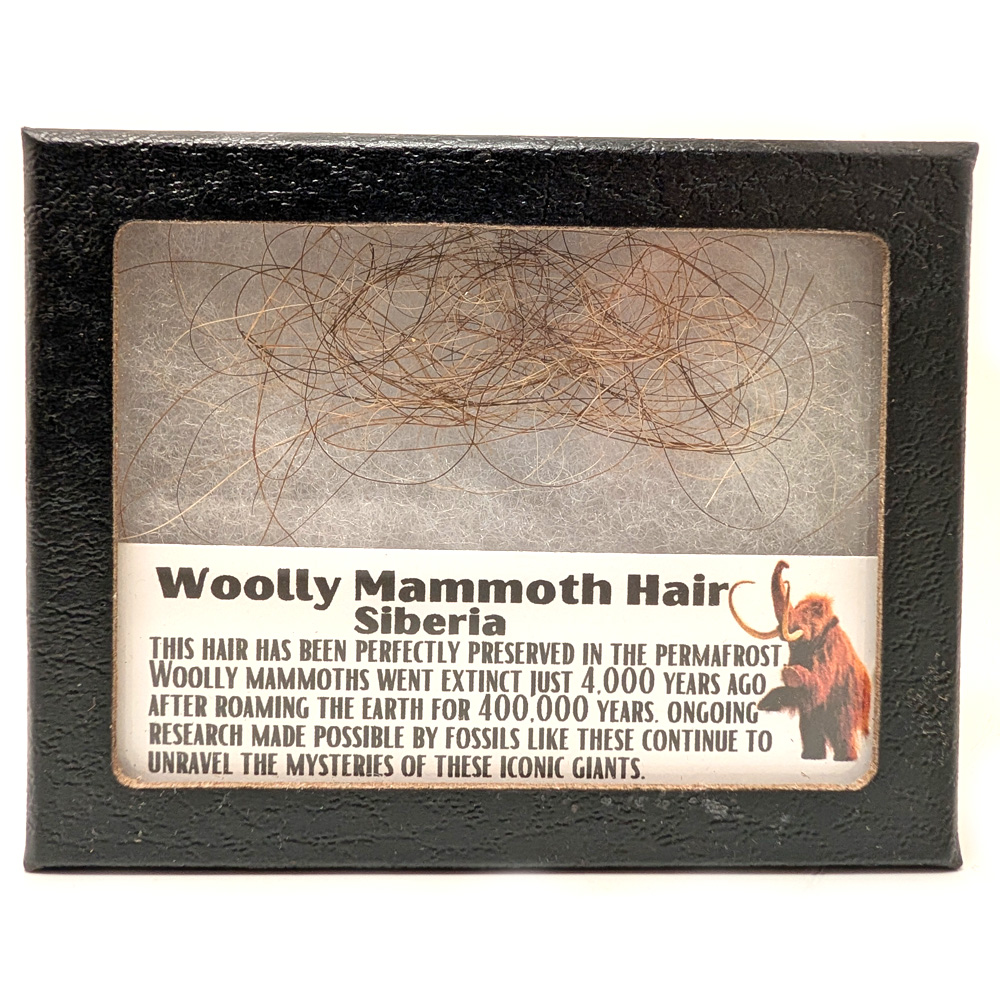 Woolly Mammoth Hair Woolly Mammoth Hair