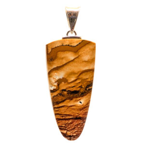 Oregon Picture Jasper Pendant Oregon Picture Jasper Pendant