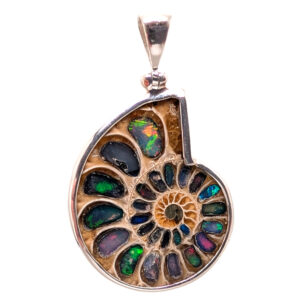 Ammonite Fossil Sterling Silver Pendant with Opal Inlay