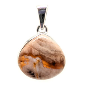 Petrified Wood Teardrop Pendant from Oregon