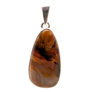 Petrified Wood Pendant from Oregon