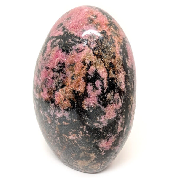 Rhodonite Stand-Up - The Fossil Cartel