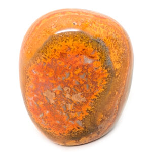 Bumblebee Jasper Standup