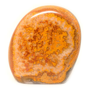 Bumblebee Jasper Standup