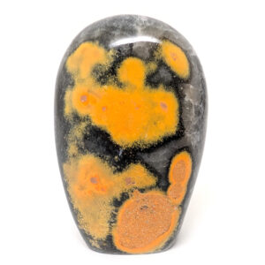 Bumblebee Jasper Standup
