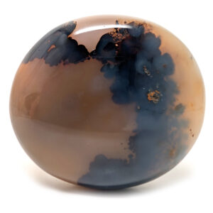 Dendritic Agate Palm Stone