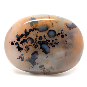 Dendritic Agate Palm Stone