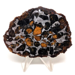Seymchan Pallasite Meteorite Slab Seymchan Pallasite Meteorite Slab