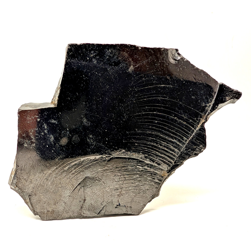 Noble Shungite, Rough Slab Noble Shungite, Rough Slab