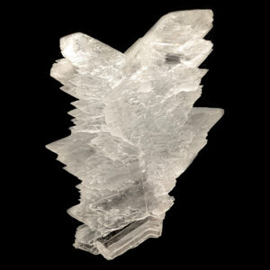 Angel Wing Selenite Angel Wing Selenite