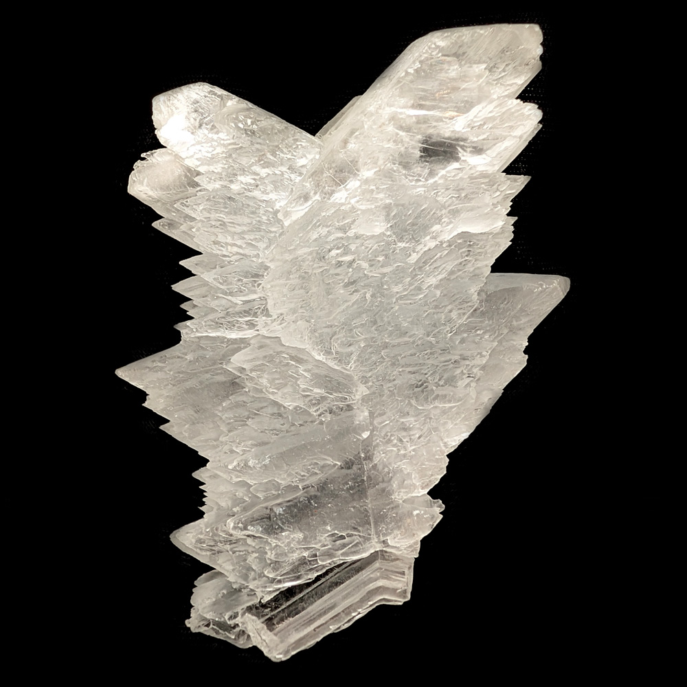 Angel Wing Selenite Angel Wing Selenite