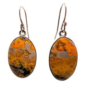 Bumblebee Jasper Oval Sterling Silver Earrings