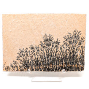 Dendrite Plaque, Large Dendrite Plaque, Large