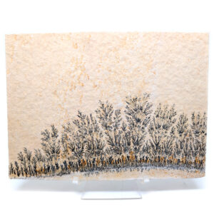 Dendrite Plaque, Large Dendrite Plaque, Large